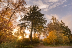 20201026_hundsrueck_parkplatz_B269_L163_DSC04698_3000er_meta