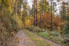 20201031_herbst_buchholz_DSC04736-Pano-2_3000er_meta