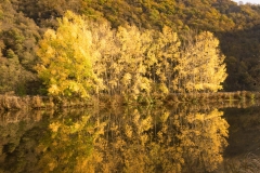 20201107_herbst_saar_hamm_DSC04871_5x5_meta