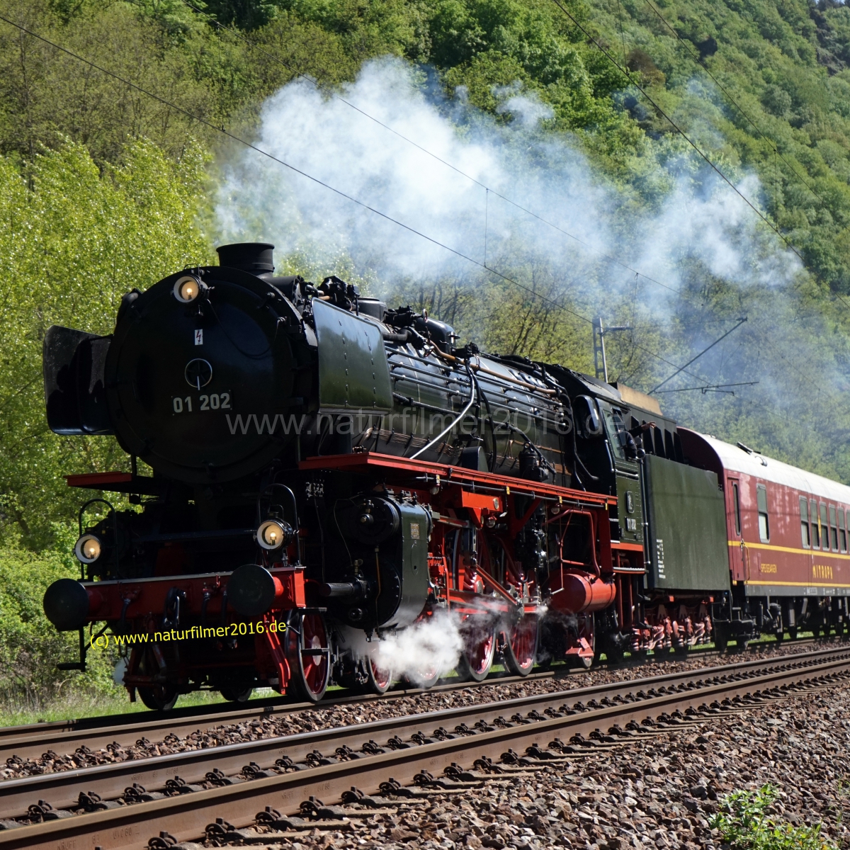 20180427_saarstrecke_dampf_BR01_202_Sonderzug_BK_584_-7_5x5_meta