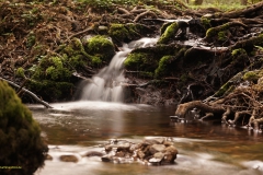 20200419_breinsbach_922_16x9_meta