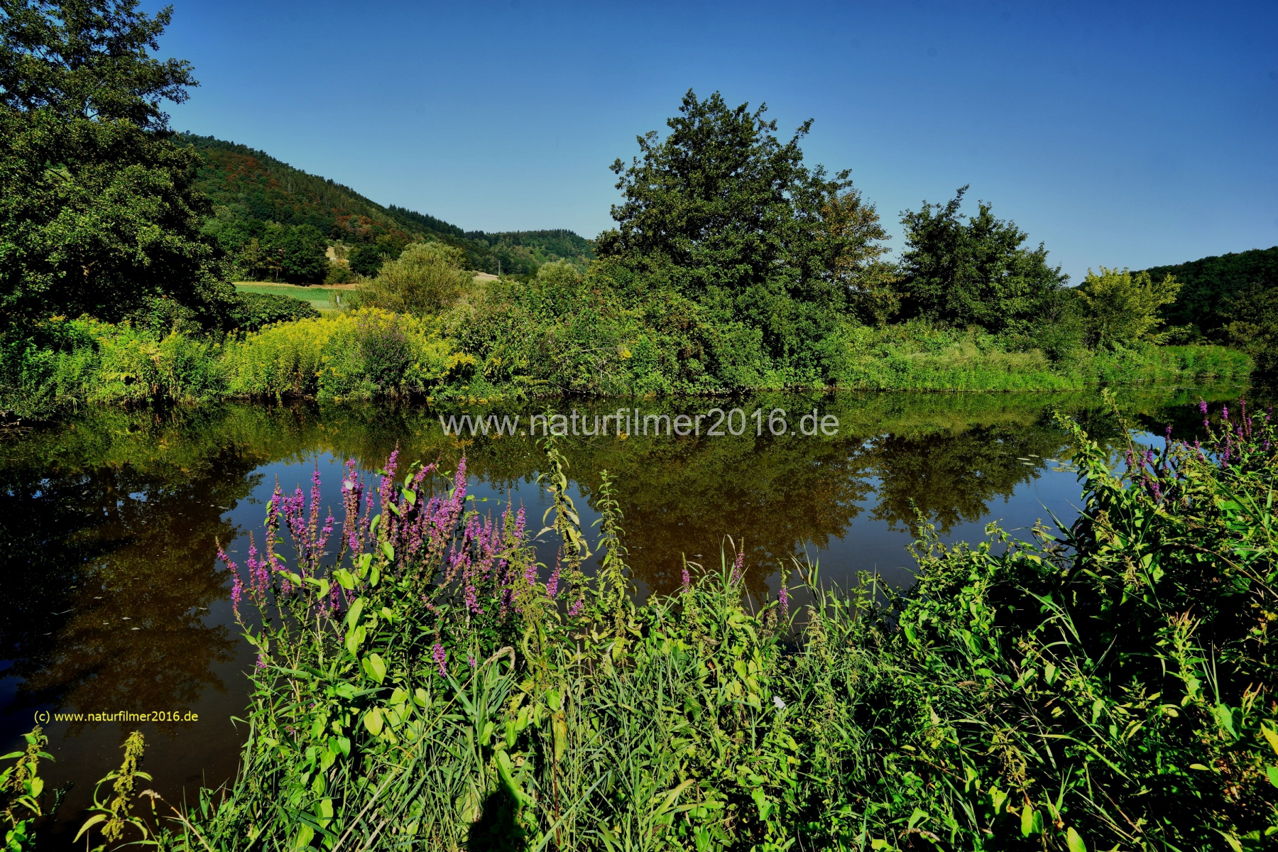 20200808_saar_flachwasser_serrig_DSC03333_17mm_color_3000er_meta