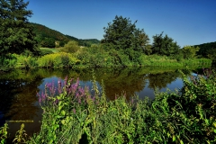 20200808_saar_flachwasser_serrig_DSC03333_17mm_color_3000er_meta