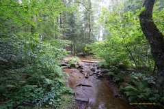 20200818_Saarhunsruecksteig_Bergener_DSC03513_3000er_meta