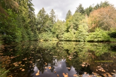 20200818_Saarhunsruecksteig_Bergener_DSC03523_3000er_meta