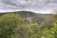 20200823_TS_Shb_Pfad_Urwald_DSC03714_3000er_meta