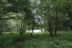 20200823_TS_Shb_Pfad_hundscheiderweiher_DSC03682_3000er_16x9_meta