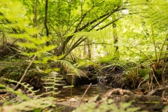 20200827_TS_Almglueck__LR_DSC03771_3000er_meta