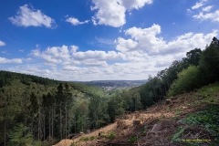 20200827_TS_Almglueck__LR_DSC03782_3000er_meta