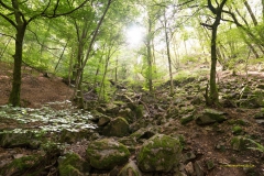 20200829_wenigbach_Lr_DSC03808_3000er_meta