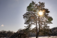 20210109_winter_panzhaus-30_2500er_5x5_meta