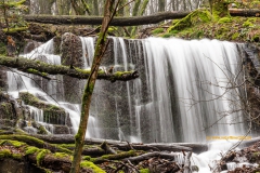 20210205_wenichbach_DSC06935_3000er_meta