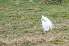 20210318_reiher-7_meta