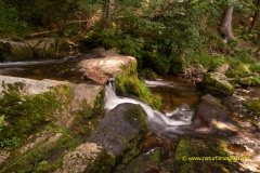 20210815_Menzenschwand_32_3000er_Meta