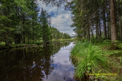 20210817_Windgfaellweiher_15_3000er_Meta