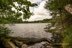 20210817_Windgfaellweiher_4_3000er_Meta