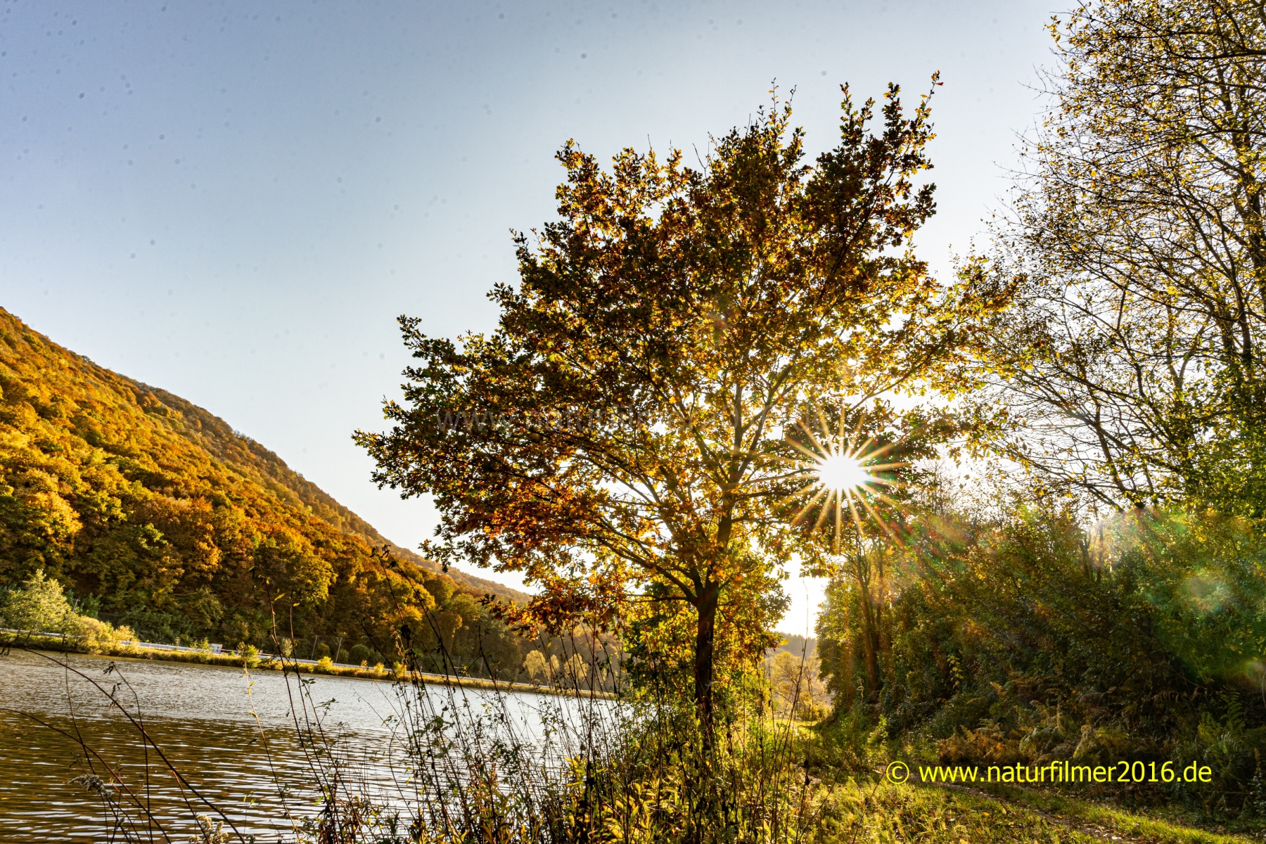 20211029_Saar_hamm_herbst_sonne_9_3000er_Meta