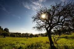 20211010_Mauergewann_Nebel_6_3000er_Meta