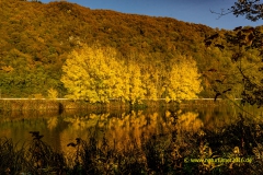 20211029_Saar_hamm_herbst_sonne_2_3000er_Meta