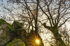 20211120_Maunert_Herbst_10_3000er_Meta_7L