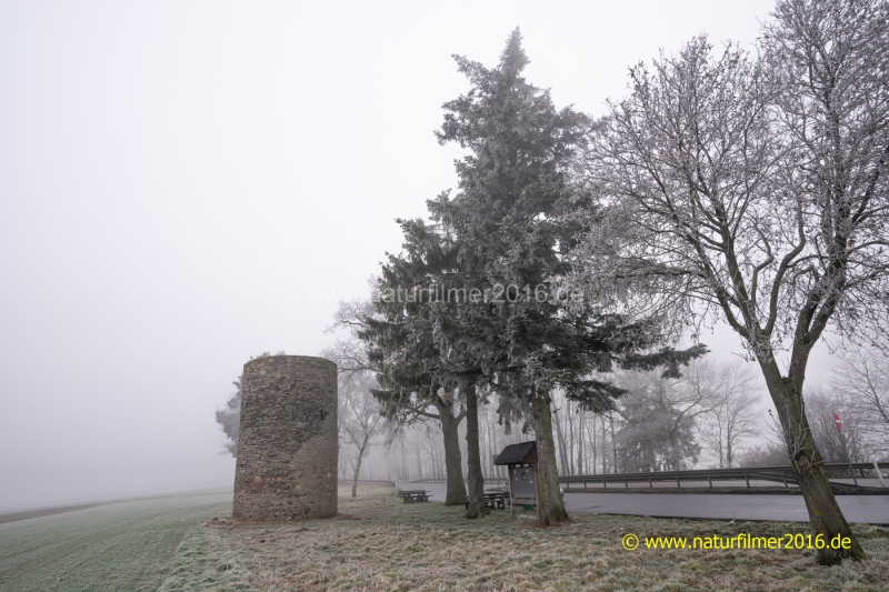 20220126_Hunsrueck_Raureif_4_3000er_Meta