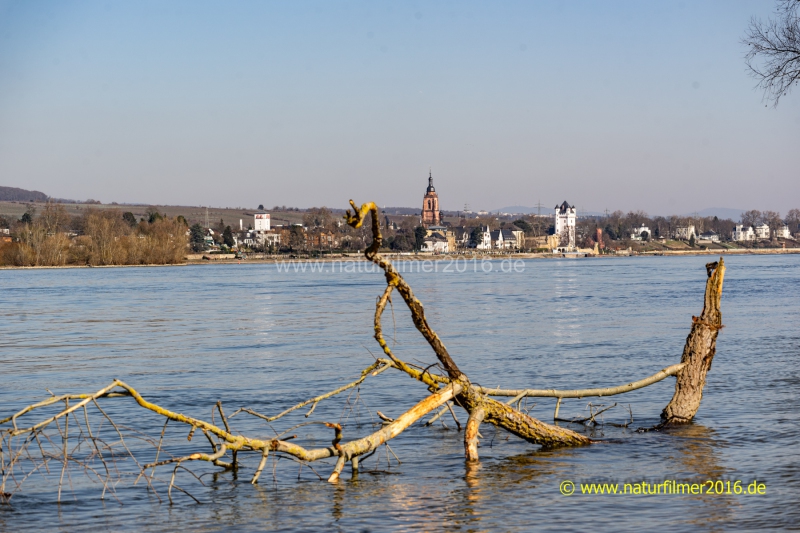20220228_Eltville_03_3000er_Meta