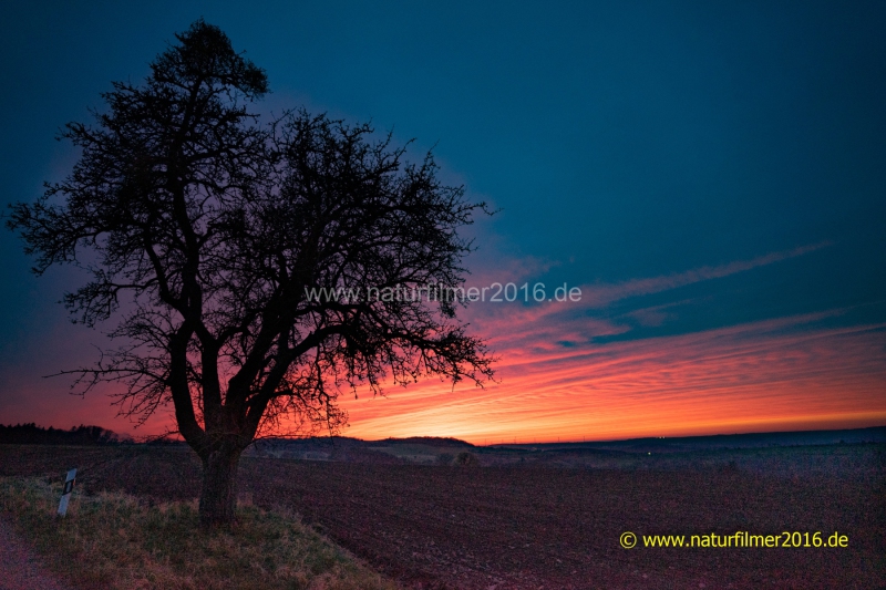 20220317_sonnenuntergang_saharastaub_03_3000er_Meta