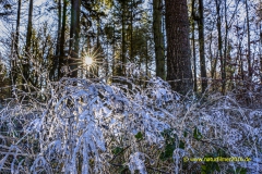 20220114_Raureif_7_3000er_Meta