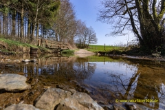 20220326_HochwaldAcht_19_PS__3000er_Meta