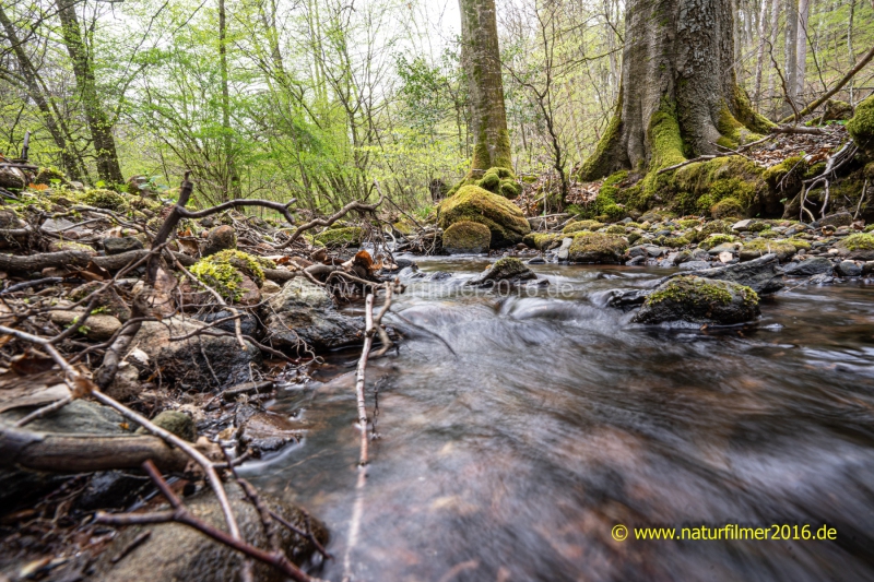 20220423_Wanderweg2_Breinsbach_03_3000er_Meta