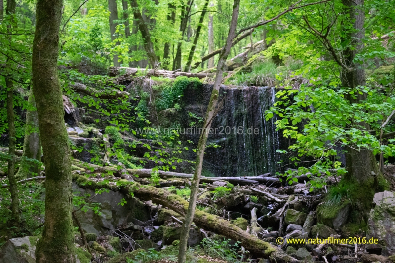 20220501_wenichbach_01_3000er_Meta
