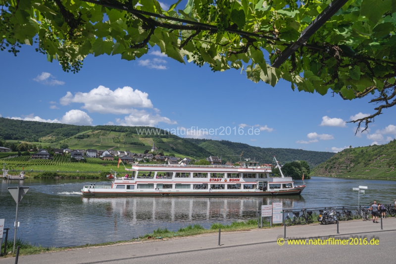 20220623_Beilstein_006_3000er_Meta