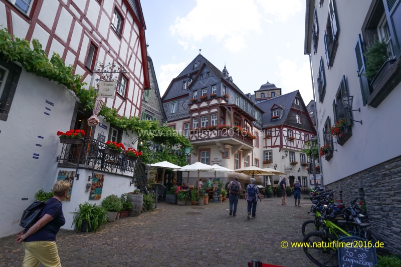 20220623_Beilstein_008_3000er_Meta