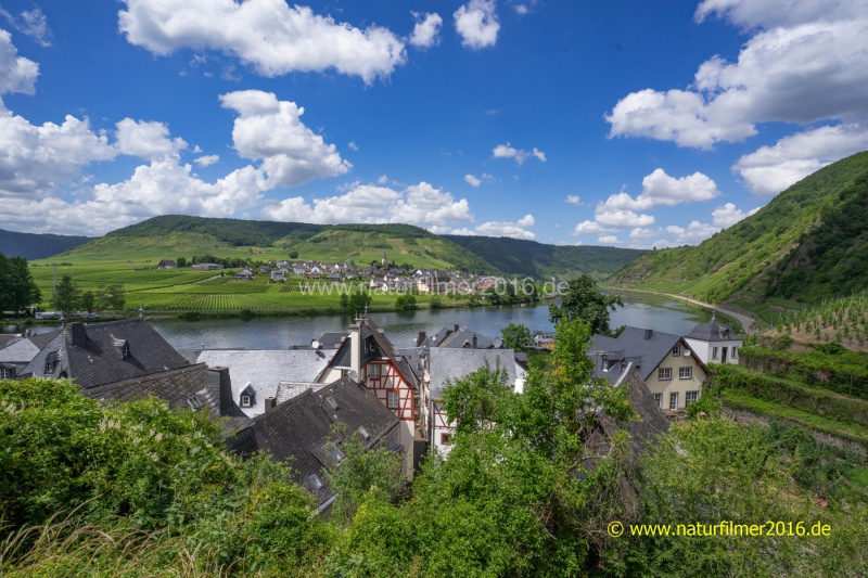20220623_Beilstein_021_3000er_Meta