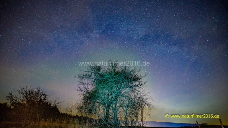 DSC09761_3000er_Meta