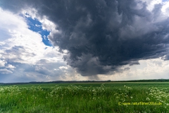 20220519_wolken_gewitter_06_3000er_Meta