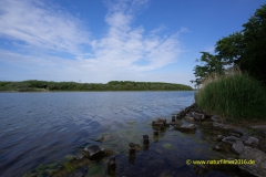 20220607_zouteland_032_3000er_Meta