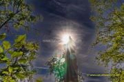20220923_urwald_sonnenstrahlen_001_3000er_Meta