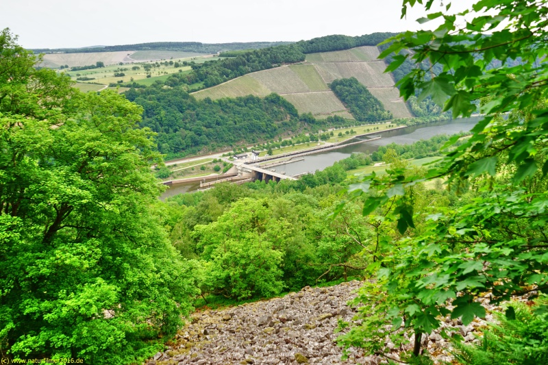 Aussichtspunkt an den Geröllhalden mit Blick auf die Stauhaltung Serrig/Saar