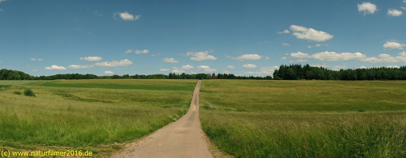 Hochebene "Käsgewann" Wenderweg Nr. 4 Taben-Rodt