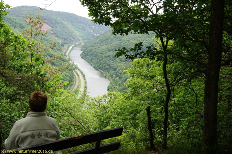 Aussichtpunkt "Koppelfels" mit Blick in Saartal bei Taben-Rodt