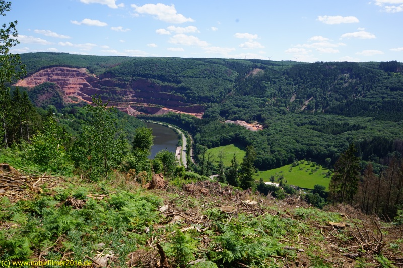 Aussichtpunkt Saartal beim Wanderweg in Taben-Rodt (Nr. 4)