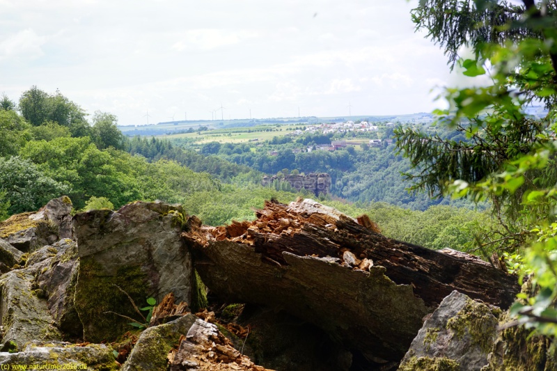 Blick auf Kastel-Staadt von Felsenpfad "Maunertgrat"