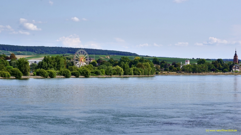 Blick von Heidenfahrt über den Rhein nach Eltville