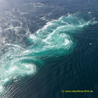 Saltstraumen: gewaltige Wassermassen zwängen sich durch die Meeresenge