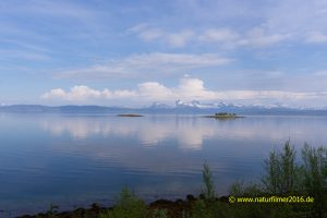 Ofotfjord, E6