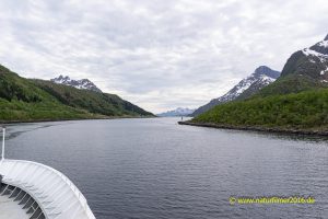 Einfahrt in der Raftsund mit einer südwärts gehenden Hurtigrutenschiff