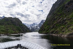 Einfahrt in der Trollfjord mit einem Hurtigrutenschiff