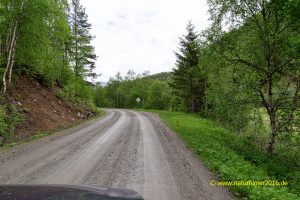 Junkerdalen, Rv77, Norwegen