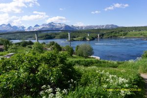 Saltstraumbrua, Saltstraumen bridge, Saltstraumen, Norwegen